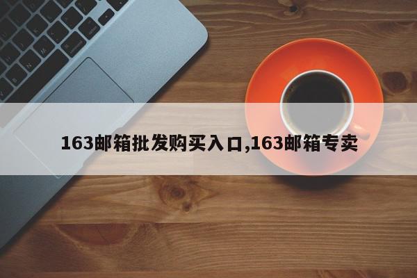 163邮箱批发购买入口,163邮箱专卖